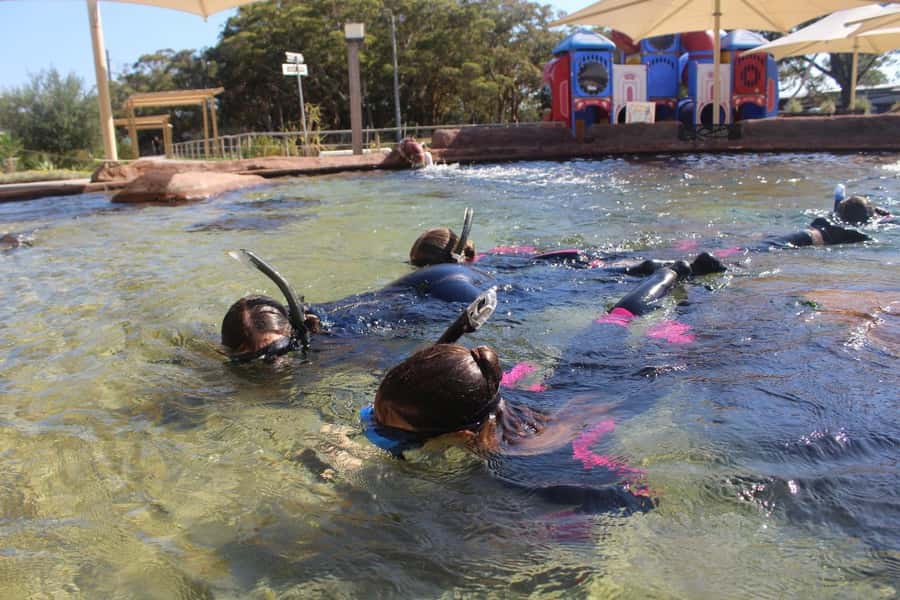 Anna Bay: Irukandji Entry + Coastal Currents Snorkel - What you actually do: wetsuit gear, shark food, and staying calm in a busy body of water