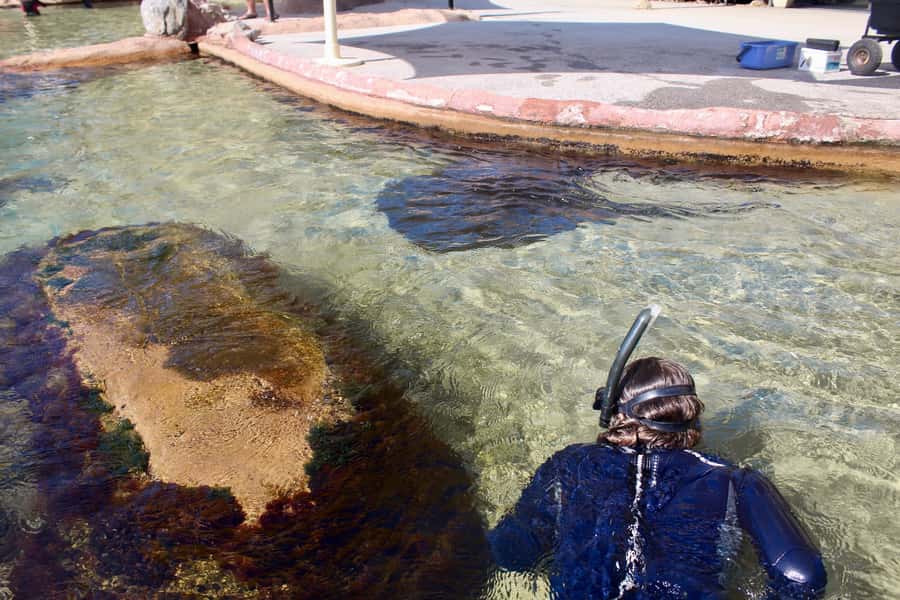 Anna Bay: Irukandji Entry + Coastal Currents Snorkel - The value question: is $85 worth it for Coastal Currents at Irukandji?