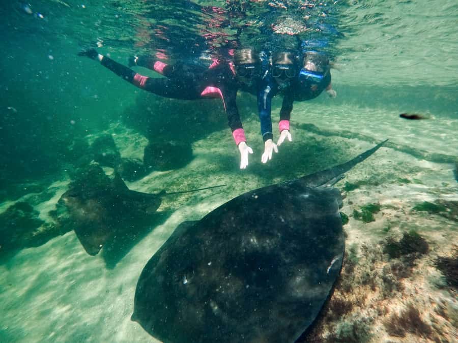 Anna Bay: Irukandji Entry + Coastal Currents Snorkel - FAQ
