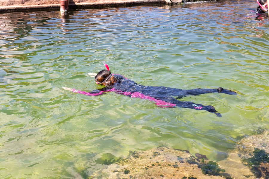 Anna Bay: Irukandji Entry Pass with Reef Shark Snorkel - Anna Bay Shark Snorkel Value: What Makes This Ticket Worth $85