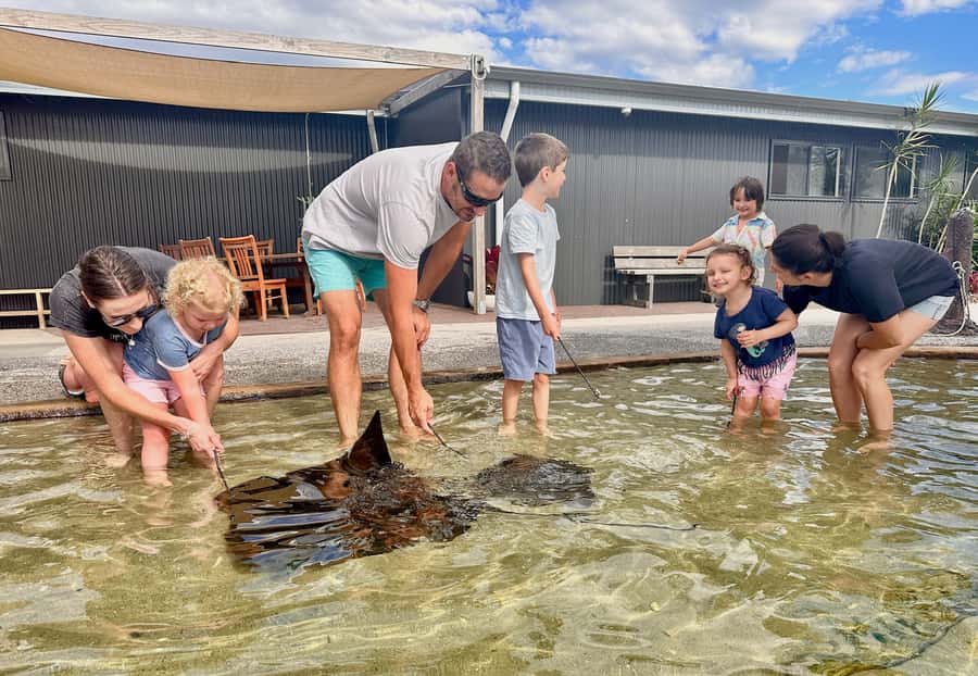 Anna Bay: Irukandji Entry Pass with Shallows Encounter - Key Points Before You Go