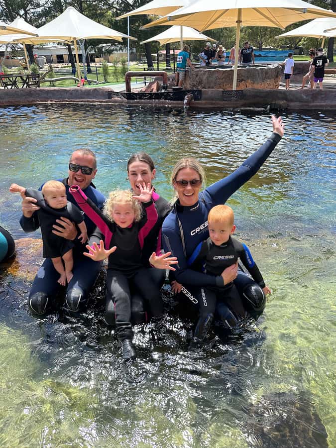 Anna Bay: Irukandji Entry Pass with Shallows Encounter - Price and Value for the $29 Entry Pass