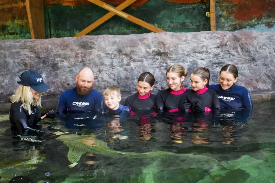 Anna Bay: Irukandji Entry Pass with Zebra Shark Encounter - Key highlights at a glance