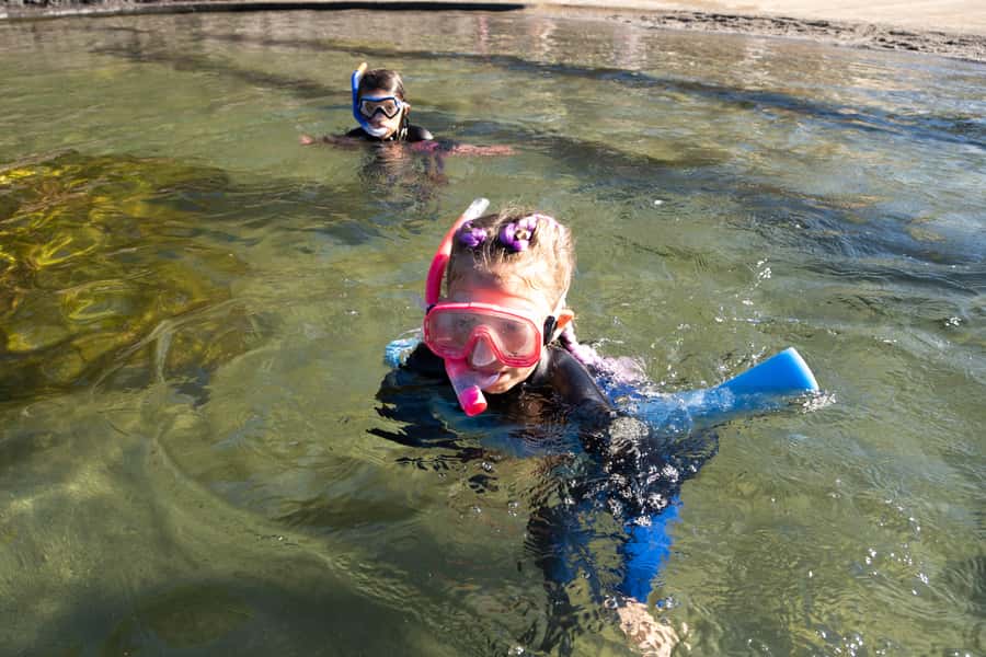 Anna Bay: Irukandji Entry with Zebra Shark Snorkel - Shallow-water encounters in two lagoons: the hands-on part families remember