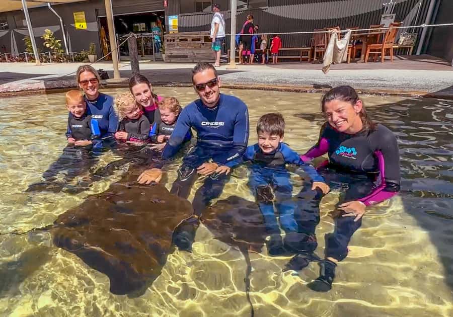 Anna Bay: Irukandji Entry with Zebra Shark Snorkel - Comfort tips that make this easier for everyone