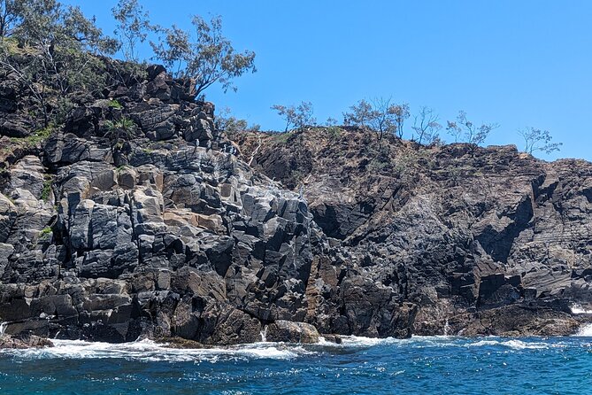 Aquaduck Sunshine Coast - 1hr Mooloolaba Amphibious Tour - Weather, timing, and what could disrupt the plan