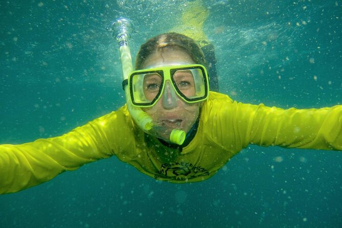 Aquascene Circumnavigation Magnetic Island Tour - Snorkeling on Fringing Reefs: Gear, Lesson, and What You’ll Look For
