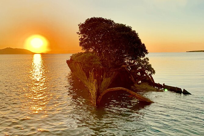 Aquascene Magnetic Island Sunset & Shipwreck Tour - A small-group sunset cruise that feels personal