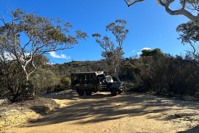 Army Truck Adventures - 3 Hour Guided Tour - Open-air 4WD: the joy and the reality check