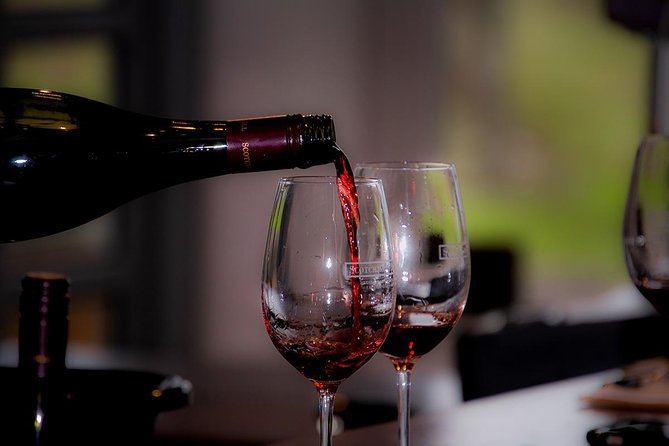 Around the Bay Food and Wine Taste Trail - Price and value: what you get for $157.08