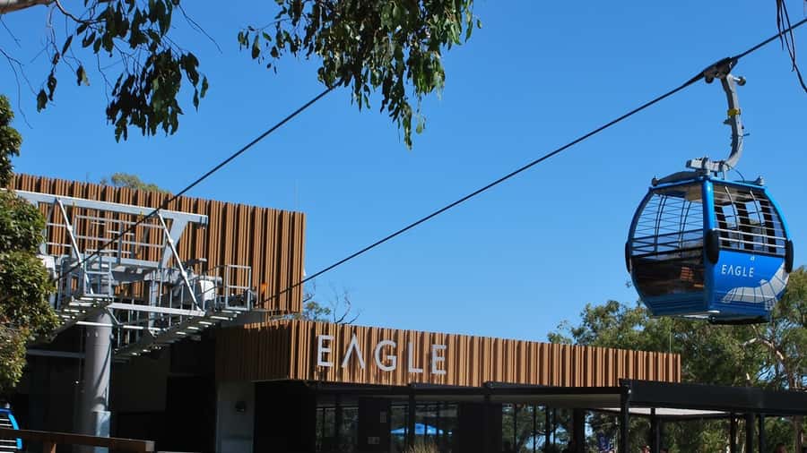 Arthurs Seat Eagle: Scenic Gondola Ride - Key things to know before you ride