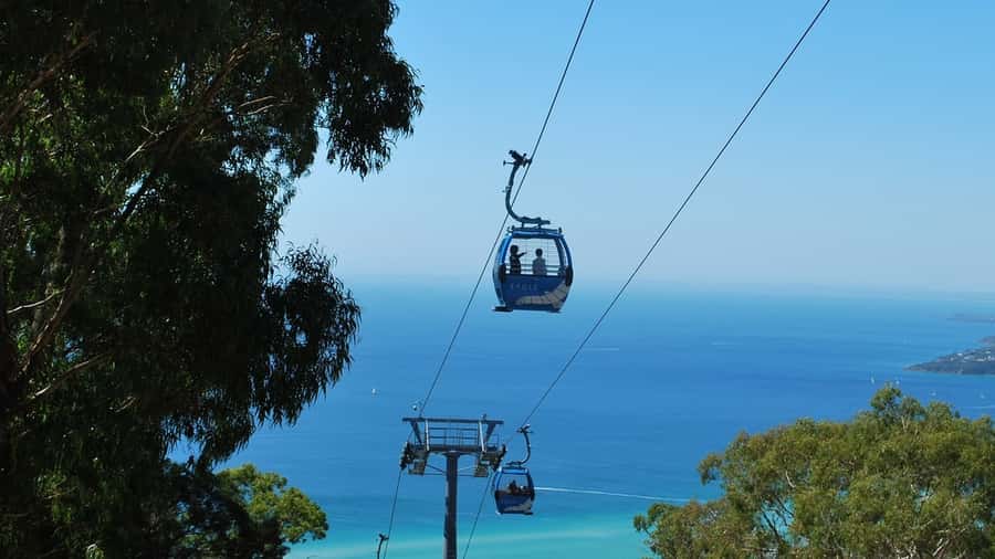 Arthurs Seat Eagle: Scenic Gondola Ride - Why this gondola beats a rushed day trip from Melbourne