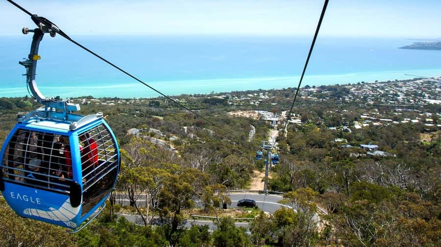 Arthurs Seat Eagle: Scenic Gondola Ride - What the summit at 314 metres feels like in real life