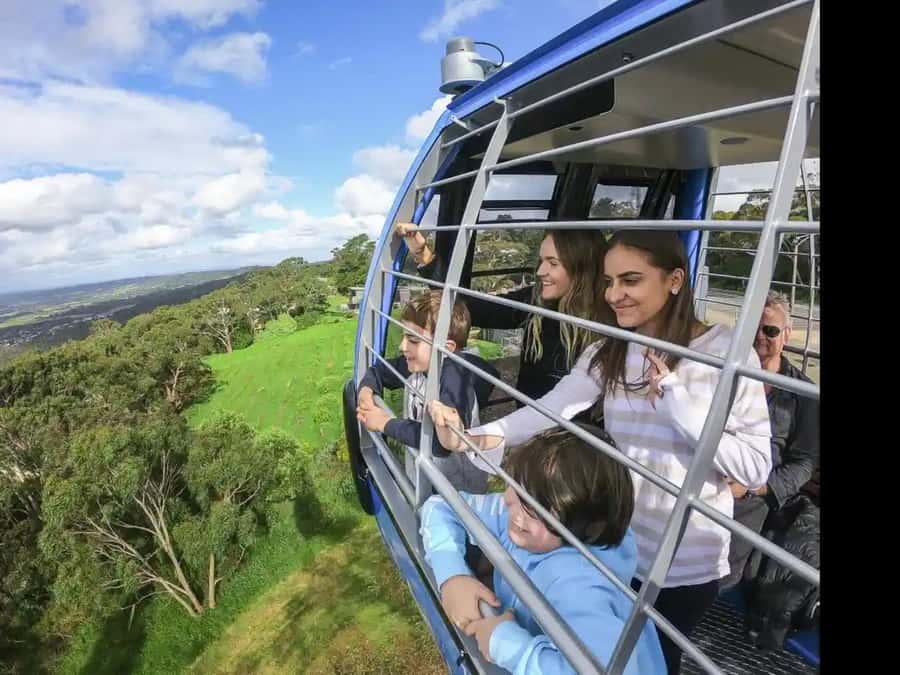 Arthurs Seat Eagle: Scenic Gondola Ride - The gondola cabin: quiet lift, Swiss engineering, and capacity that matters
