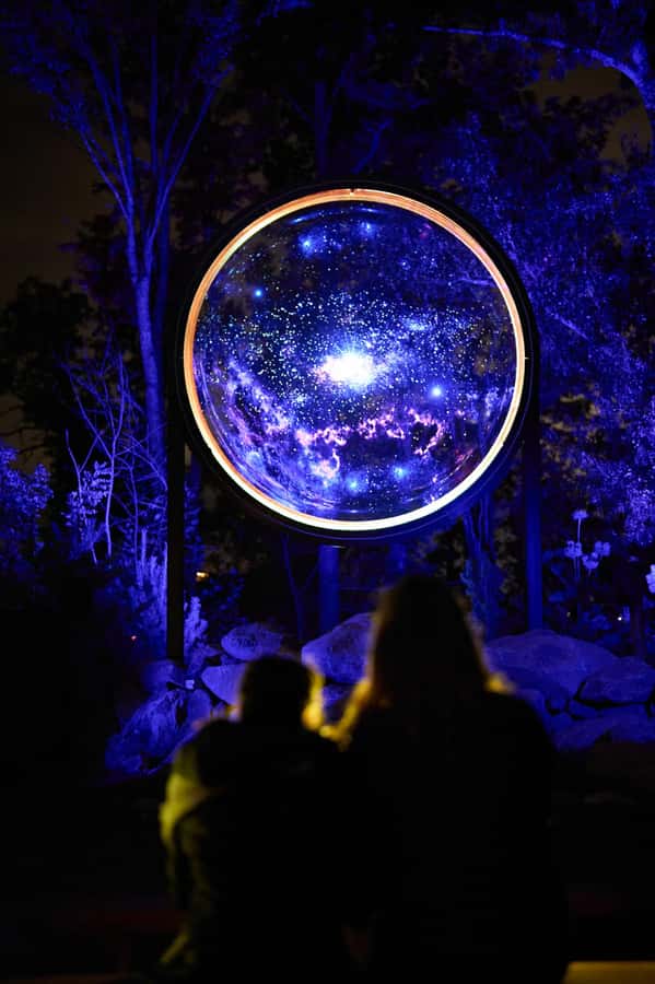 Astra Lumina Entry at Currumbin Wildlife Sanctuary - Price and value: $35, 9 zones, and what your ticket supports