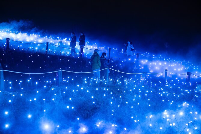 Astra Lumina Night Walk at Currumbin Wildlife Sanctuary - Food, drinks, and the “don’t plan dinner” mindset