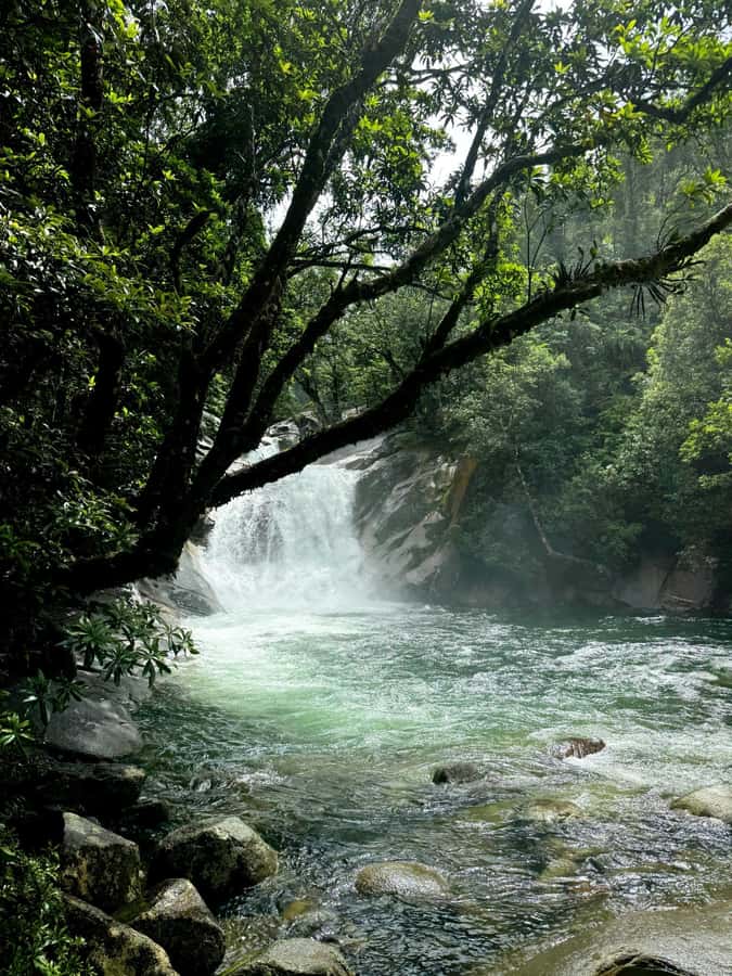 Atherton Tablelands: Lakes, Waterfalls, Rainforest Day Tour - Josephine Falls: three stages and a natural rock slide