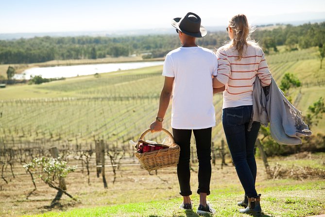 Audrey Wilkinson Vineyard: Picnic with Wine Masterclass Tasting - Wine Masterclass and Tasting Notes: What Your In-House Expert Actually Does