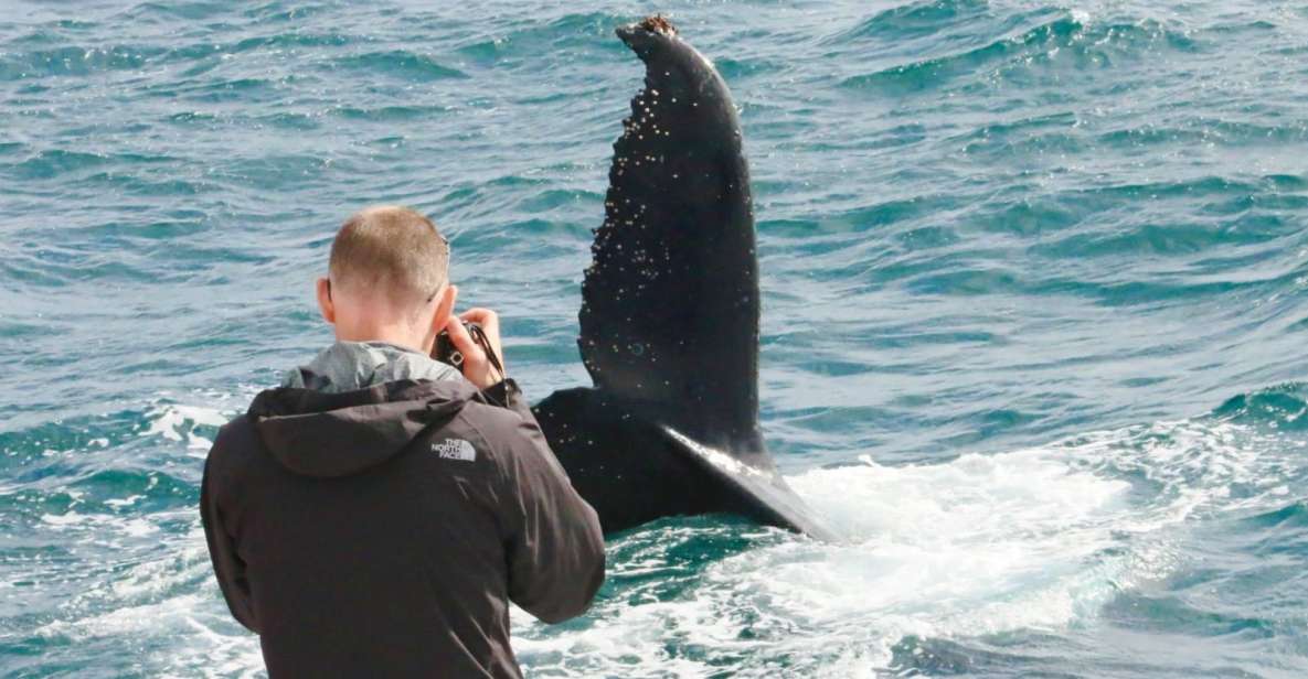 Augusta: Whale Watching Tour - Who This Tour Suits Best