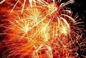 Australia Day Tall Ships Lunch & Race on Sydney Harbour - Picking your departure: Southern Swan, Soren Larsen, or Coral Trekker