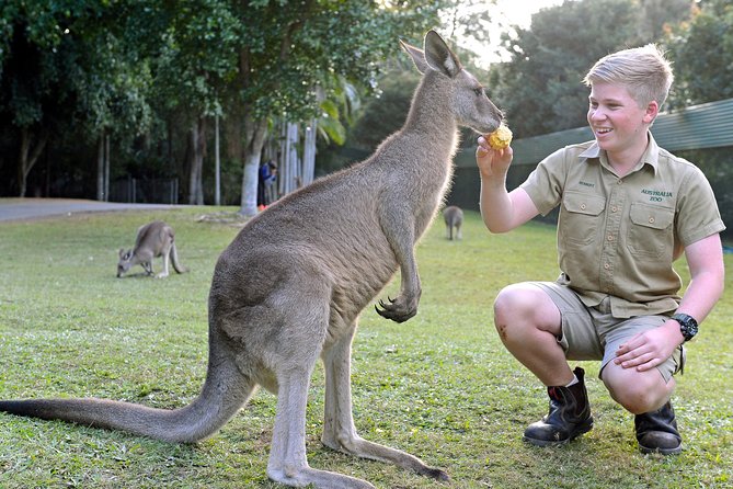 Australia Zoo Day Trip from Brisbane - Key things I’d clock before you go