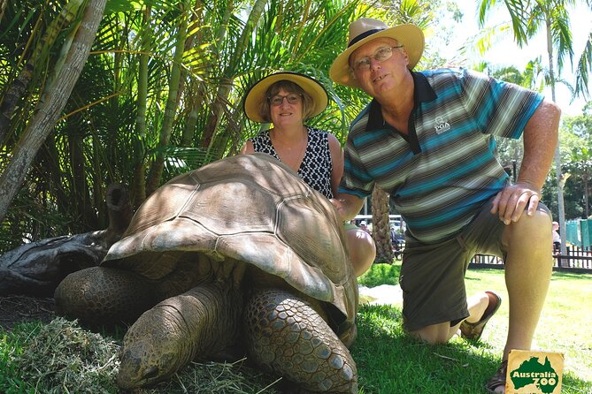Australia Zoo Day Trip from Brisbane - Crocoseum and the live shows: how to time your day for maximum impact