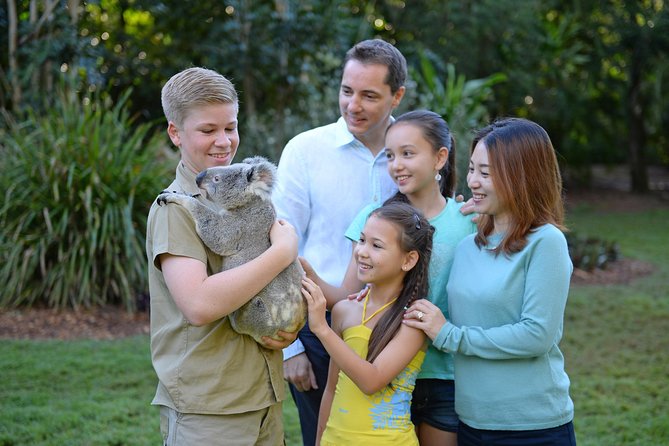 Australia Zoo Day Trip from Brisbane - Kangaroo paddock tactics: feed them while the day is still calm
