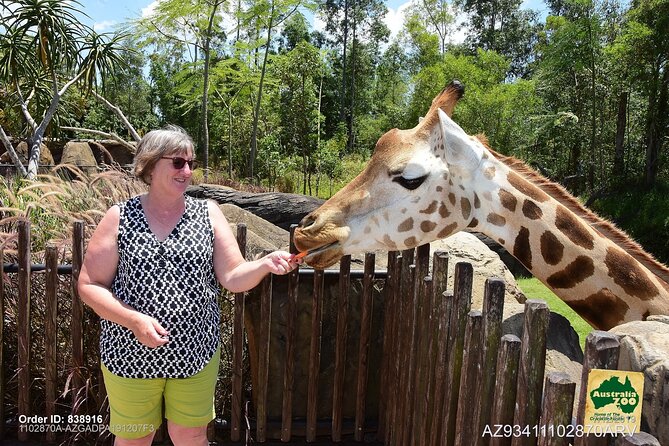 Australia Zoo Day Trip from Brisbane - Animal hospital visit: why it’s an emotional plus