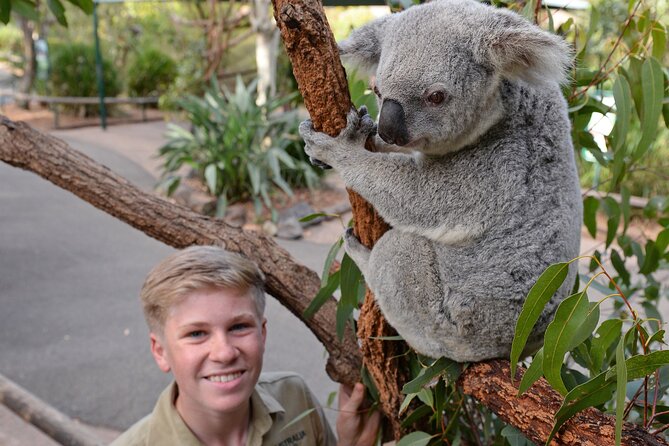 Australia Zoo Day Trip from Brisbane - Food and water: what you need to budget for