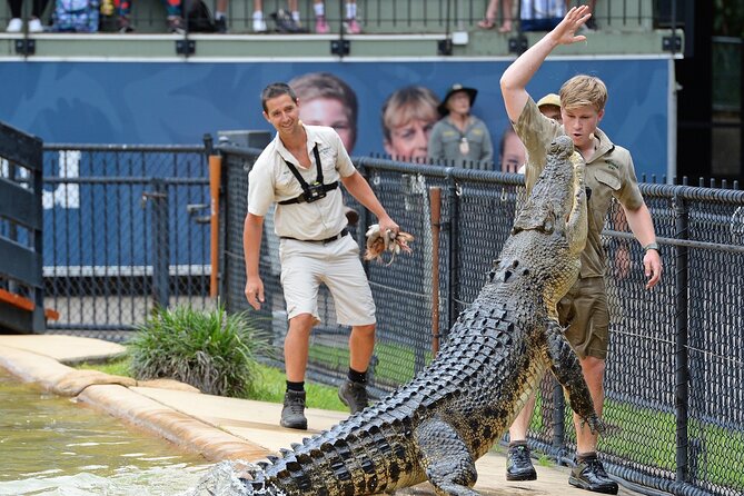 Australia Zoo Transfer from Noosa and Sunshine Coast - The road trip part: live commentary on the way to Australia Zoo