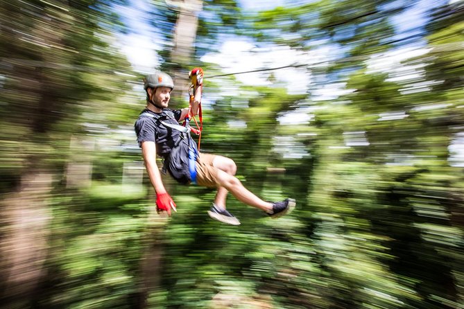 Australia Zoo Transfer from Noosa and Sunshine Coast - Australia Zoo time: how to use your 6 hours wisely