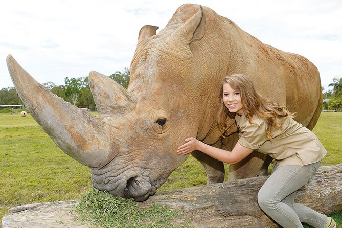 Australia Zoo Transfer from Noosa and Sunshine Coast - A close look at the zoo highlights people talk about