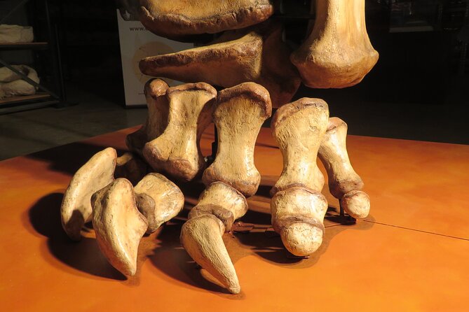 Australian Dinosaur Giants Tour - Eromanga Natural History Museum: The Outback Setting for Titanosaurs