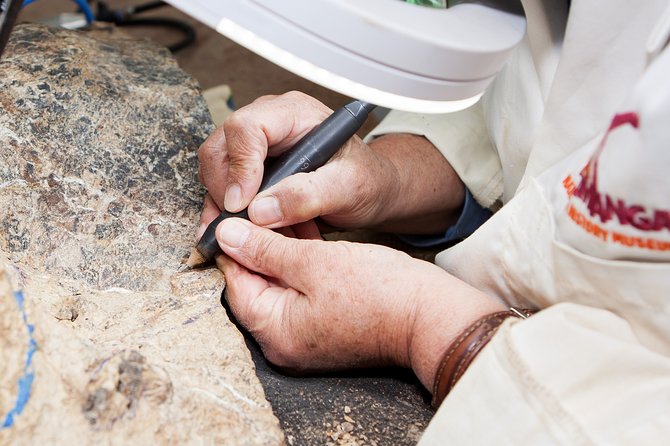 Australian Dinosaur Giants Tour - Touch a 95 Million-Year-Old Bone: Fossil Tools Up Close