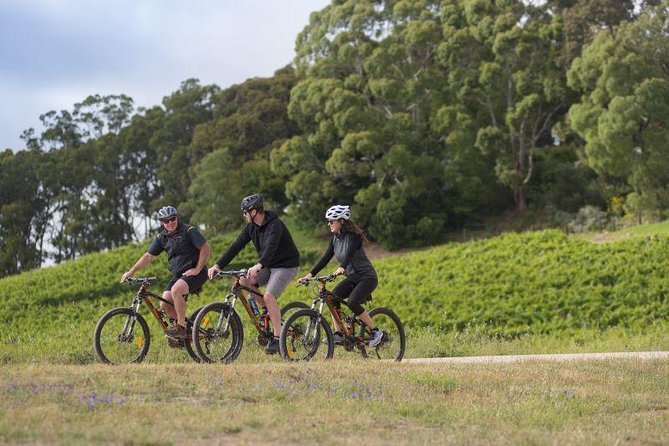 Australian Wine Discovery Tour Ticket - Blending Your Own Wine: Why This Part Works