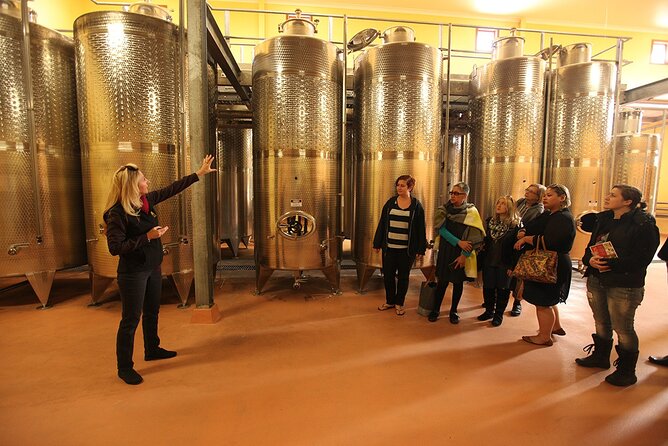 Award-Winning Hunter Valley Wine & Cheese Tour from Sydney - From Sydney pickup to Hunter Valley highway views