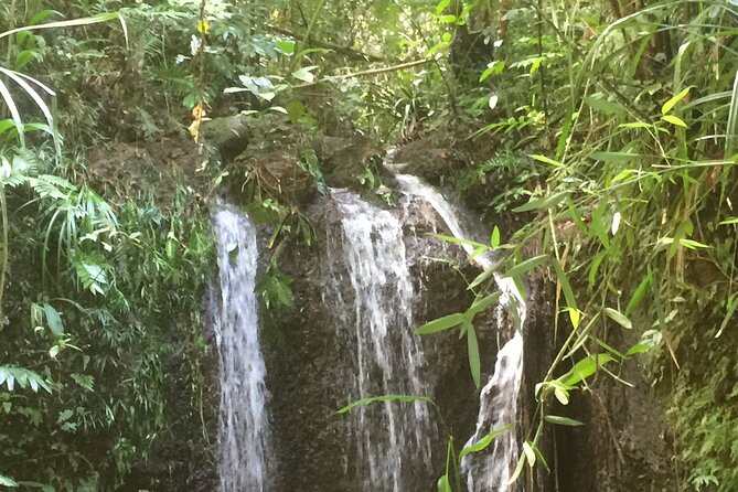 Award winning Paronella Park Night Tour - Should You Book This Paronella Park Night Tour?