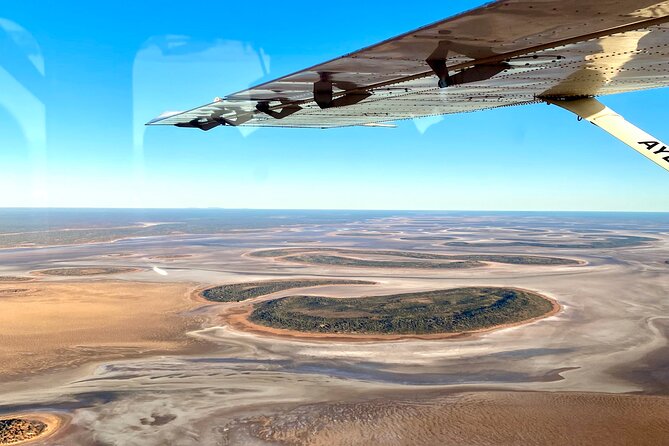 Ayers Rock and Kata Tjuta 1-Hour Scenic Flight: Lizard Safari - Key Highlights You’ll Feel Right Away