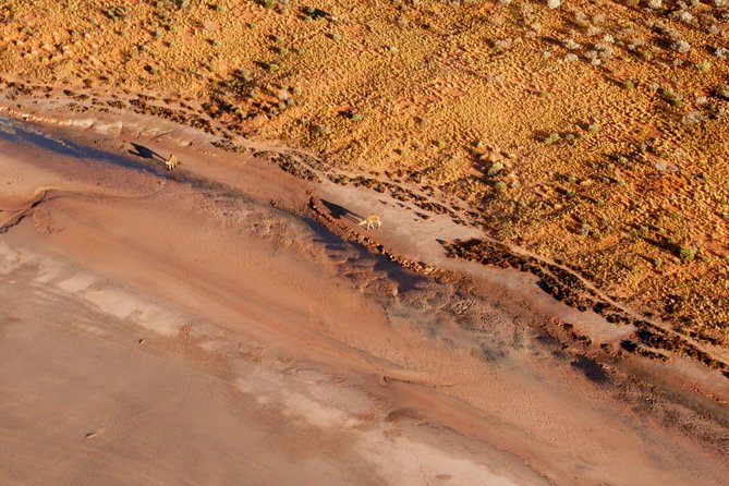 Ayers Rock and Kata Tjuta 1-Hour Scenic Flight: Lizard Safari - Lake Amadeus and the Ancient Coral Reef Remnants