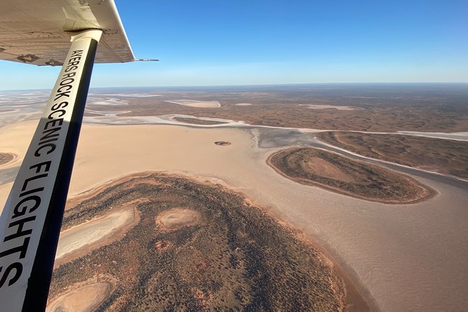 Ayers Rock and Kata Tjuta 1-Hour Scenic Flight: Lizard Safari - Wild Camels and Desert Plains: What You Should Actually Look For