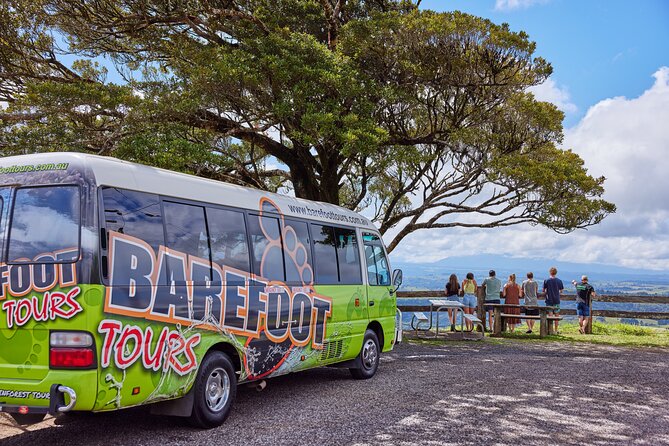 Barefoot Atherton Tablelands Adventure by Cairns Waterfalls - Atherton Tablelands time and Mungalli Falls lunch: energy reset between swims