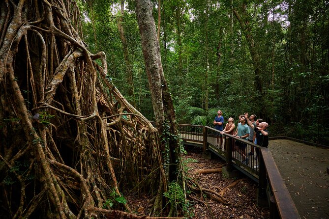 Barefoot Atherton Tablelands Adventure by Cairns Waterfalls - Babinda Boulders and the Cathedral Fig Tree: quick stops that still feel special