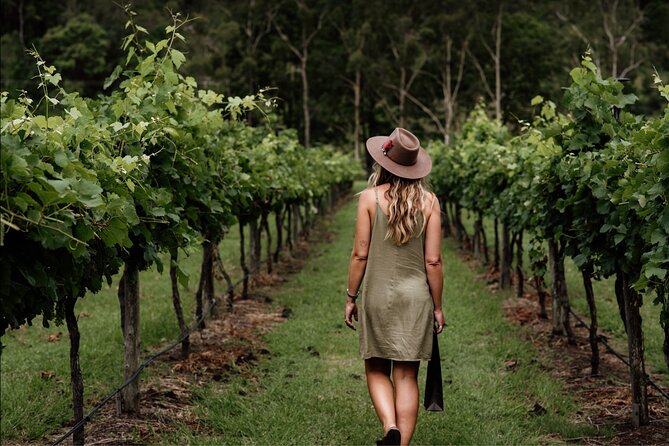 Barefoot Luxury Mount Tamborine Winery Tour from Brisbane - Key Takeaways Before You Go