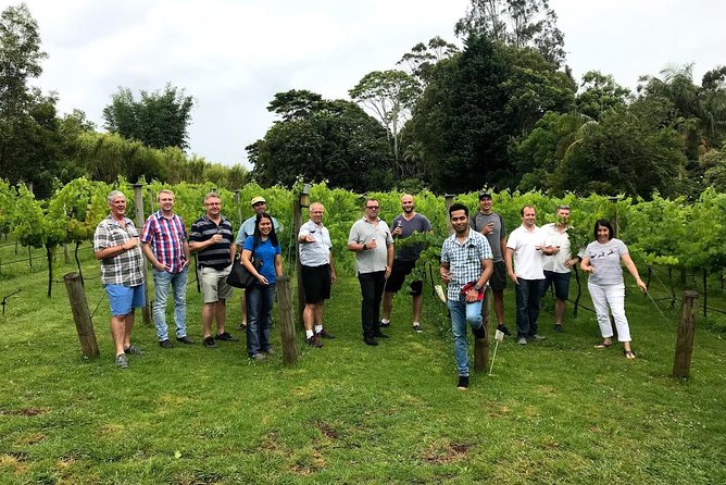 Barefoot Luxury Mount Tamborine Winery Tour from Brisbane - Mount Tamborine in One Day: What This Tour Delivers