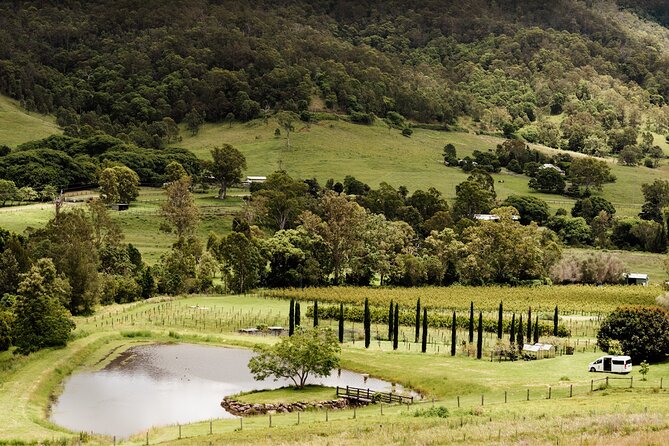 Barefoot Luxury Mount Tamborine Winery Tour from Brisbane - Witches Falls Winery Tastings: Where the Day Gains Momentum