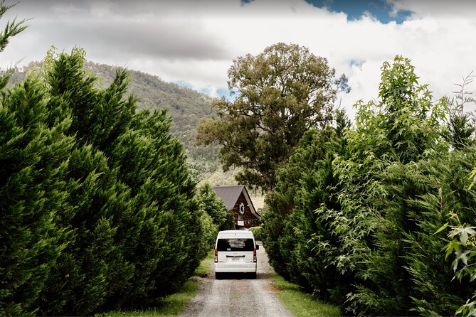 Barefoot Luxury Mount Tamborine Winery Tour from Brisbane - Pickup and Timing From Brisbane: Easy Start, Easy Return