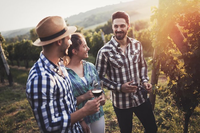 Barefoot Luxury Mount Tamborine Winery Tour from Gold Coast - Gold Coast to Mt Tamborine in one smooth day