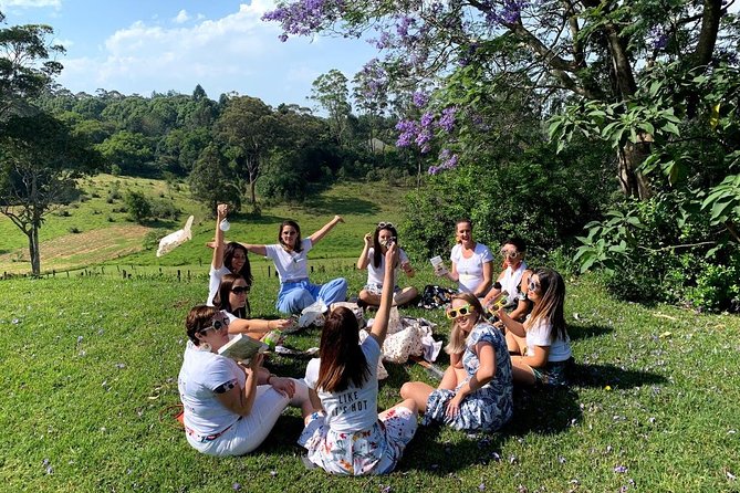 Barefoot Luxury Mount Tamborine Winery Tour from Gold Coast - Gallery Walk: 75 shops in one go (fudge, chocolate, and more)