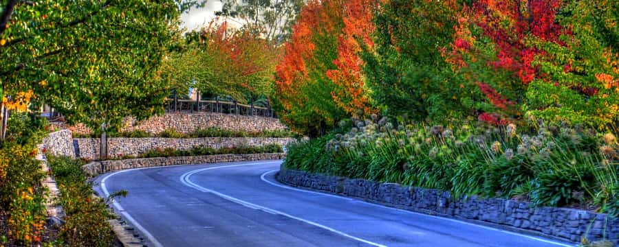Barossa and Hahndorf Hill Tour - The big idea: a guided day that mixes wine, food, and photo stops