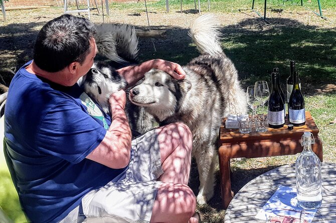 Barossa Private Wine Tour - A private Barossa wine day with 10:00 am pickup